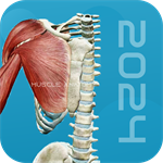 3D肌肉解剖_716游戏网